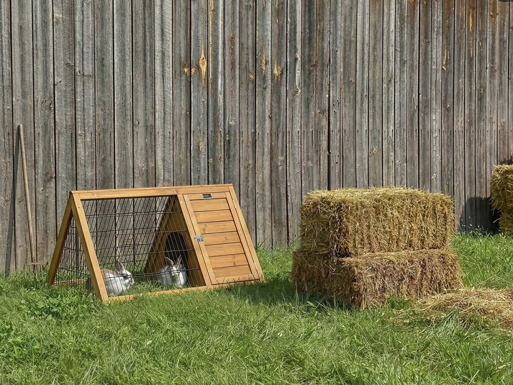 Biscotte" hok - 100 x 62 x 52 cm - Bruin