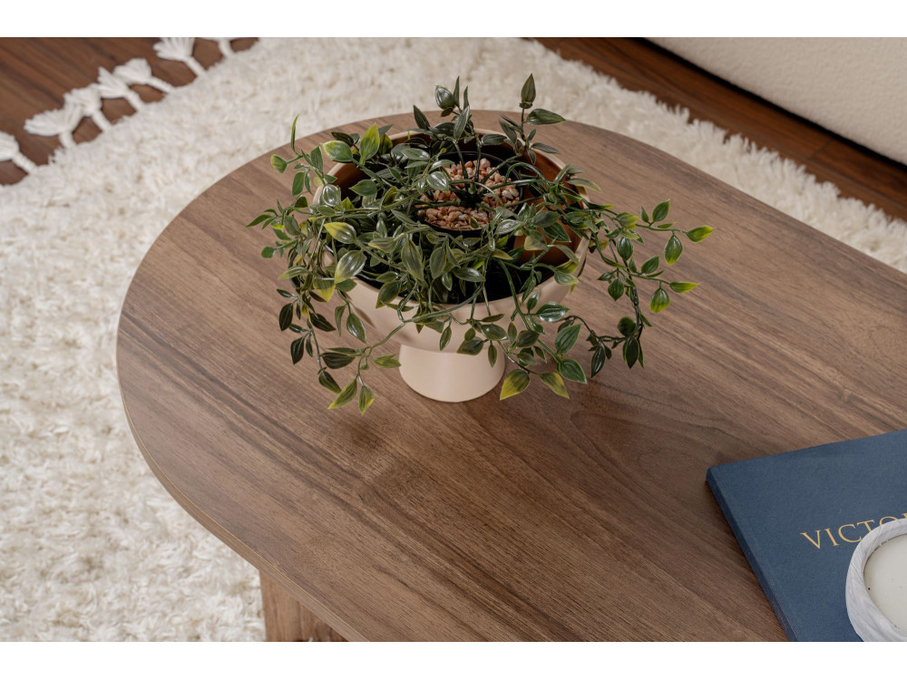 Houten salontafel "Sand" - 60 x 119 x 40 cm - Walnoot