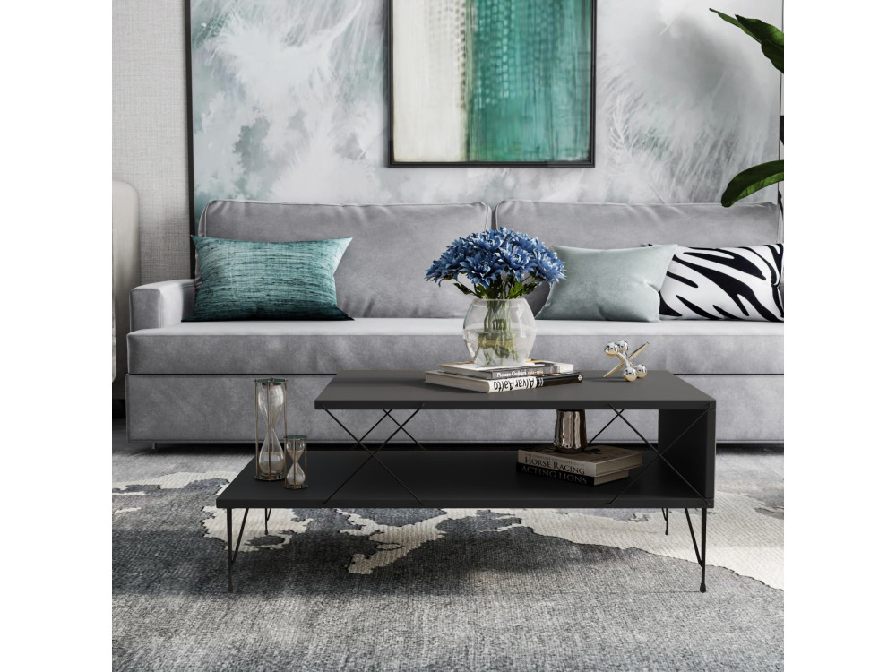 Houten salontafel "Loire" 100 x 50 x 40 cm - Antraciet