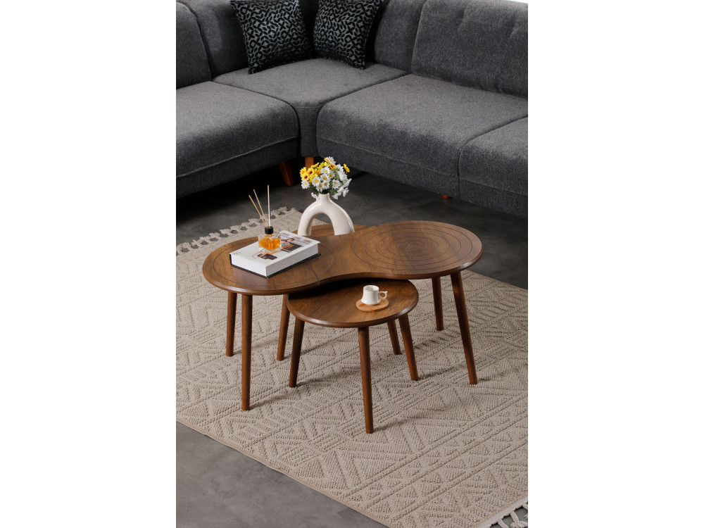 Marlo" houten salontafel set 100 x 50 x 45 cm - Notelaar