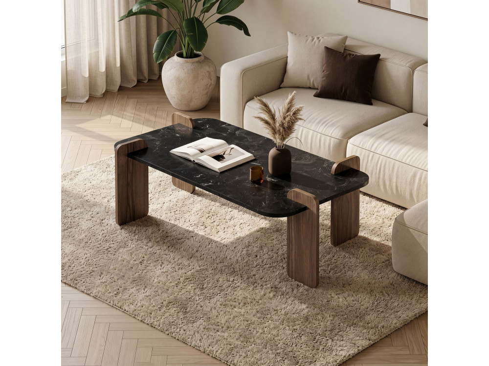 Houten salontafel "Renard" - 120 x 60 x 35 cm - Zwart