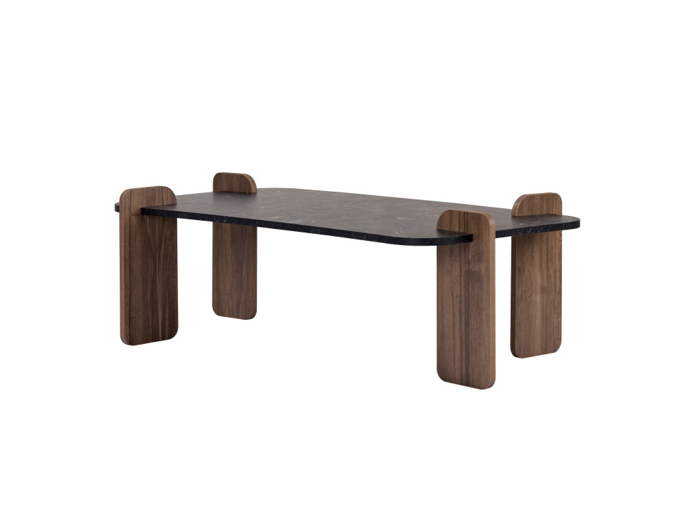 Houten salontafel "Renard" - 120 x 60 x 35 cm - Zwart