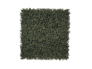 Verticaal Buxus" plantenpaneel - Set van 4 - 1,00 x 1,00 m - Groen