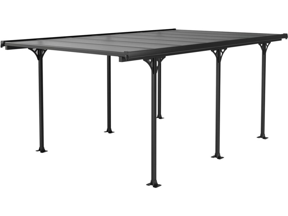 Carport auto "Denver" - 502 x 313 x 205 cm - Transparant / Zwart