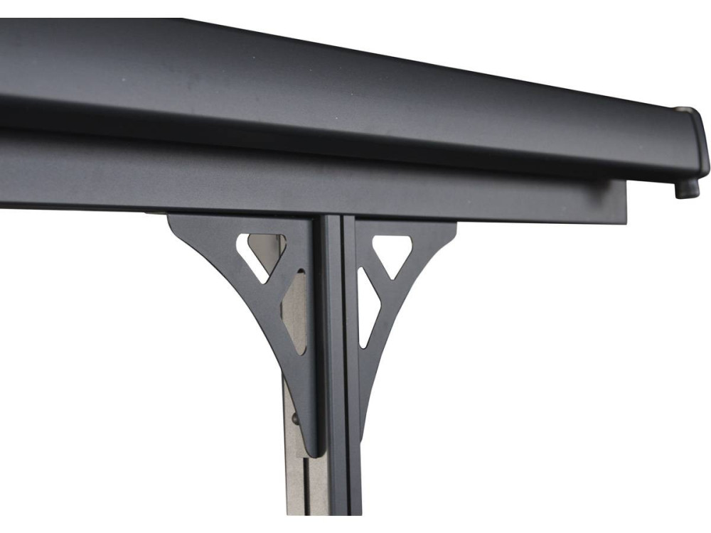 Carport auto "Denver" - 502 x 313 x 205 cm - Transparant / Zwart