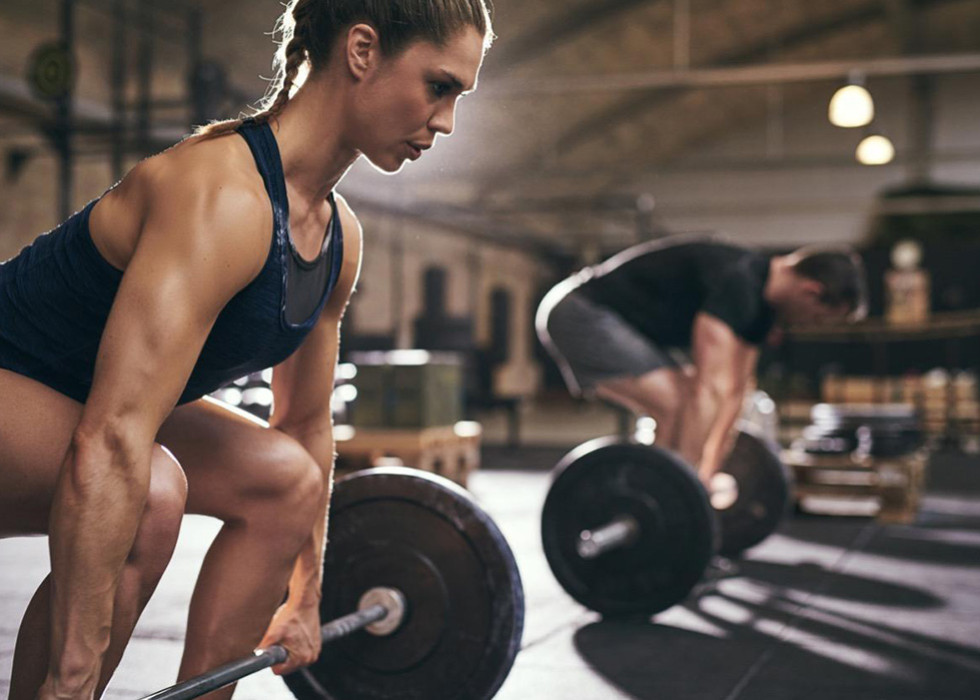 Musculation - Exercices